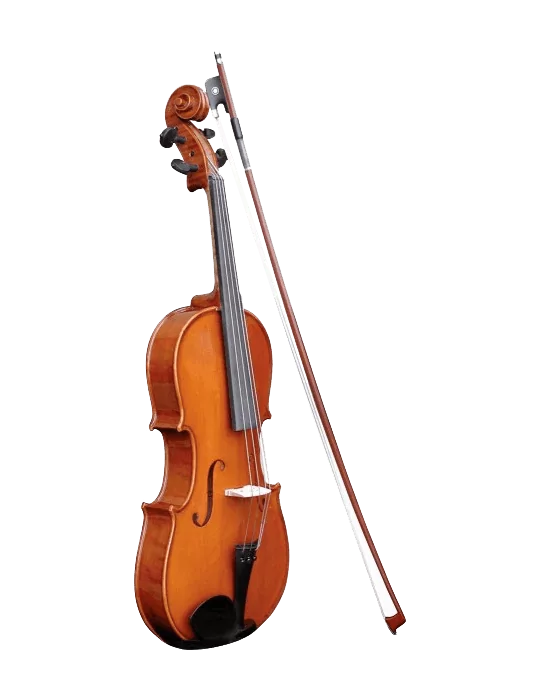  HERALD AS244 Any massif|MusicGoodDeal 