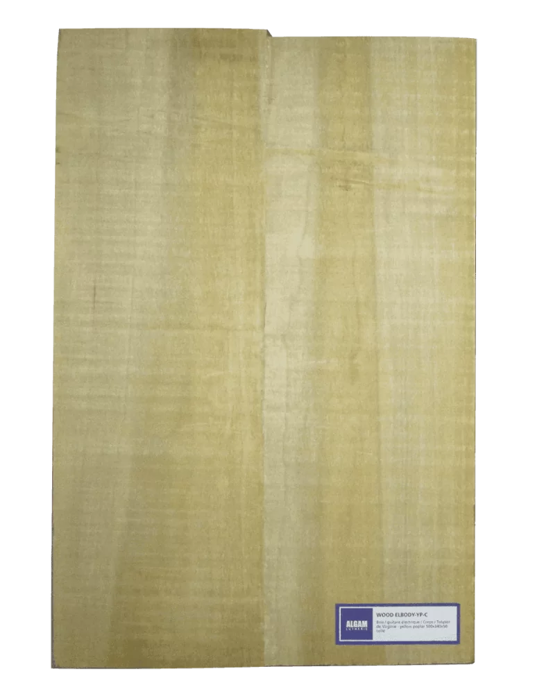 LUTHERIE ELBODY-YP-C | MusicGoodDeal