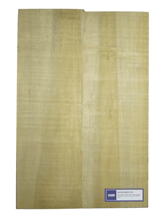 LUTHERIE ELBODY-YP-C | MusicGoodDeal