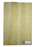 LUTHERIE ELBODY-YP-C | MusicGoodDeal