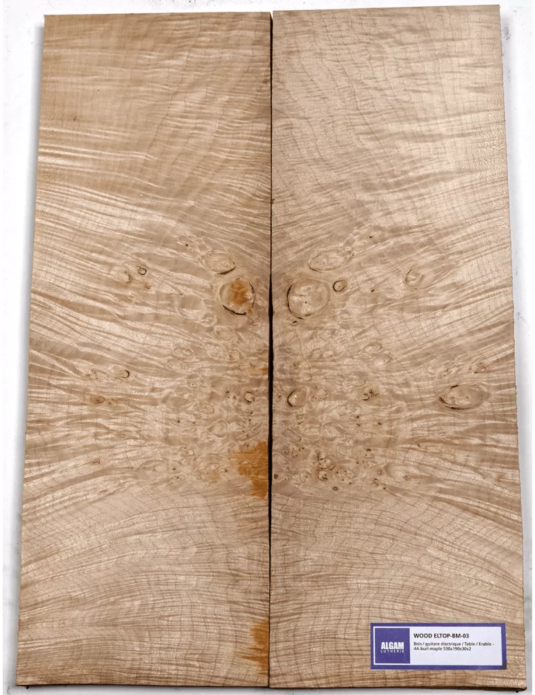 LUTHERIE ELTOP-BM-03 | MusicGoodDeal