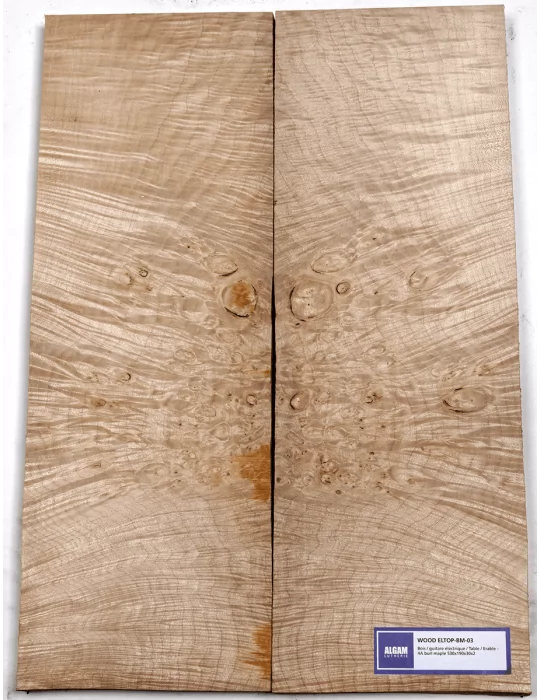 LUTHERIE ELTOP-BM-03 | MusicGoodDeal