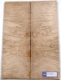 LUTHERIE ELTOP-BM-03 | MusicGoodDeal