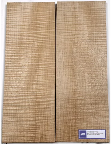 LUTHERIE ELTOP-FM-21 | MusicGoodDeal