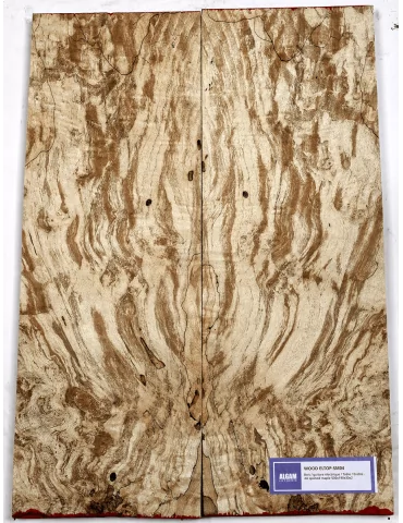 LUTHERIE ELTOP-SM-04 | MusicGoodDeal
