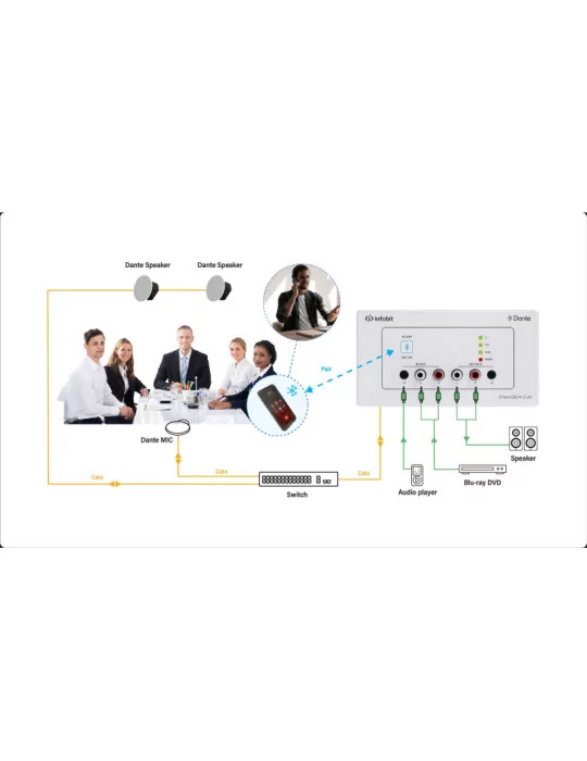 INFOBIT ITRANSDB44EUK Plaque murale Dante 4CH Bluetooth  DB44-EUK - version UE et Royaume-Uni