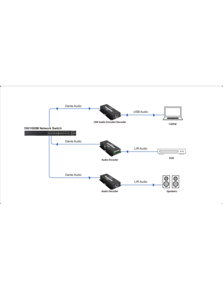 INFOBIT iTRANSDUTR22B Decodeur/Encodeur Audio Dante USB  iTrans DU-TR-22B - 2CH (TR) avec PoE Port USB-B