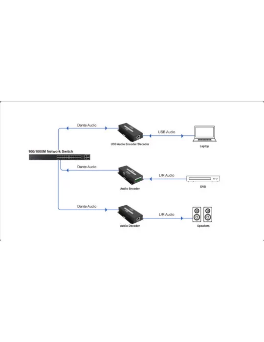 INFOBIT iTRANSDUTR22B Decodeur/Encodeur Audio Dante USB  iTrans DU-TR-22B - 2CH (TR) avec PoE Port USB-B