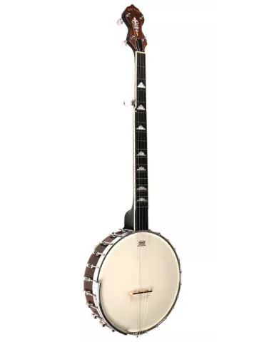GOLD TONE WL-250 | MusicGoodDeal