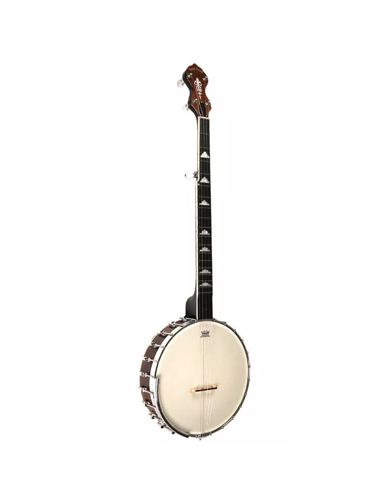 GOLD TONE WL-250 | MusicGoodDeal
