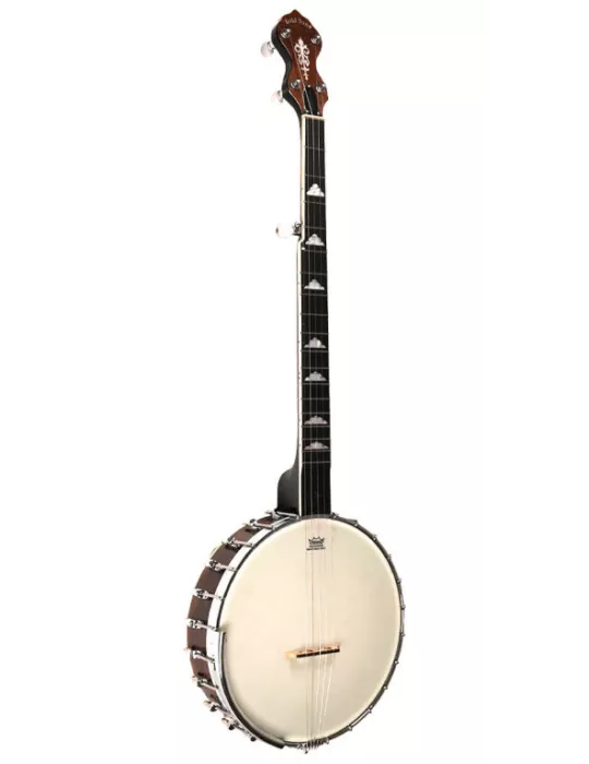 GOLD TONE WL-250 | MusicGoodDeal