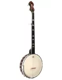 GOLD TONE WL-250 | MusicGoodDeal