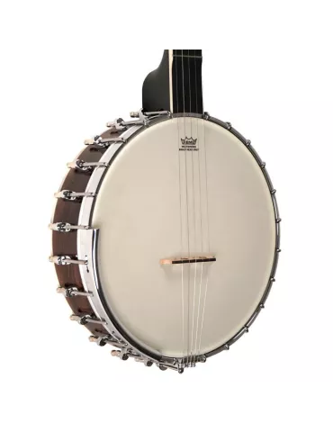 GOLD TONE WL-250 | MusicGoodDeal 2