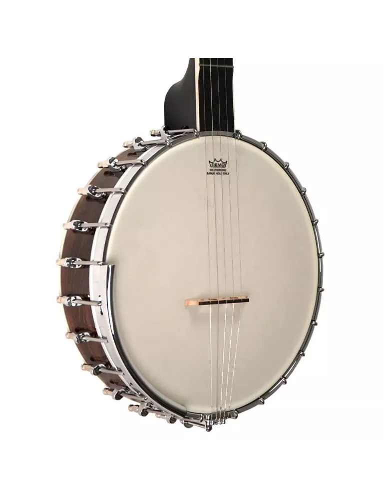 GOLD TONE WL-250 | MusicGoodDeal