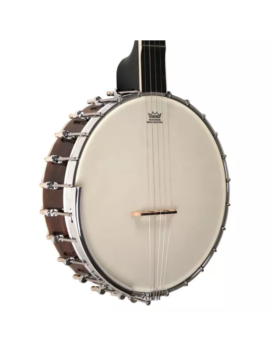 GOLD TONE WL-250 | MusicGoodDeal
