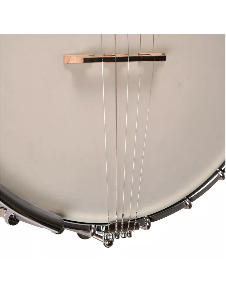 GOLD TONE WL-250 | MusicGoodDeal