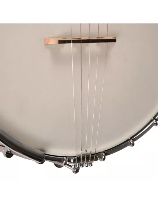 GOLD TONE WL-250 | MusicGoodDeal