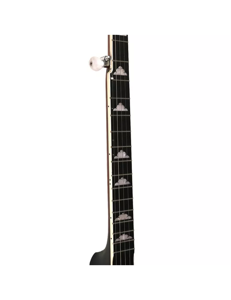 GOLD TONE WL-250 | MusicGoodDeal