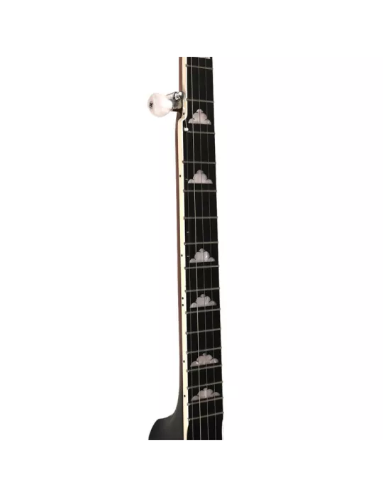 GOLD TONE WL-250 | MusicGoodDeal