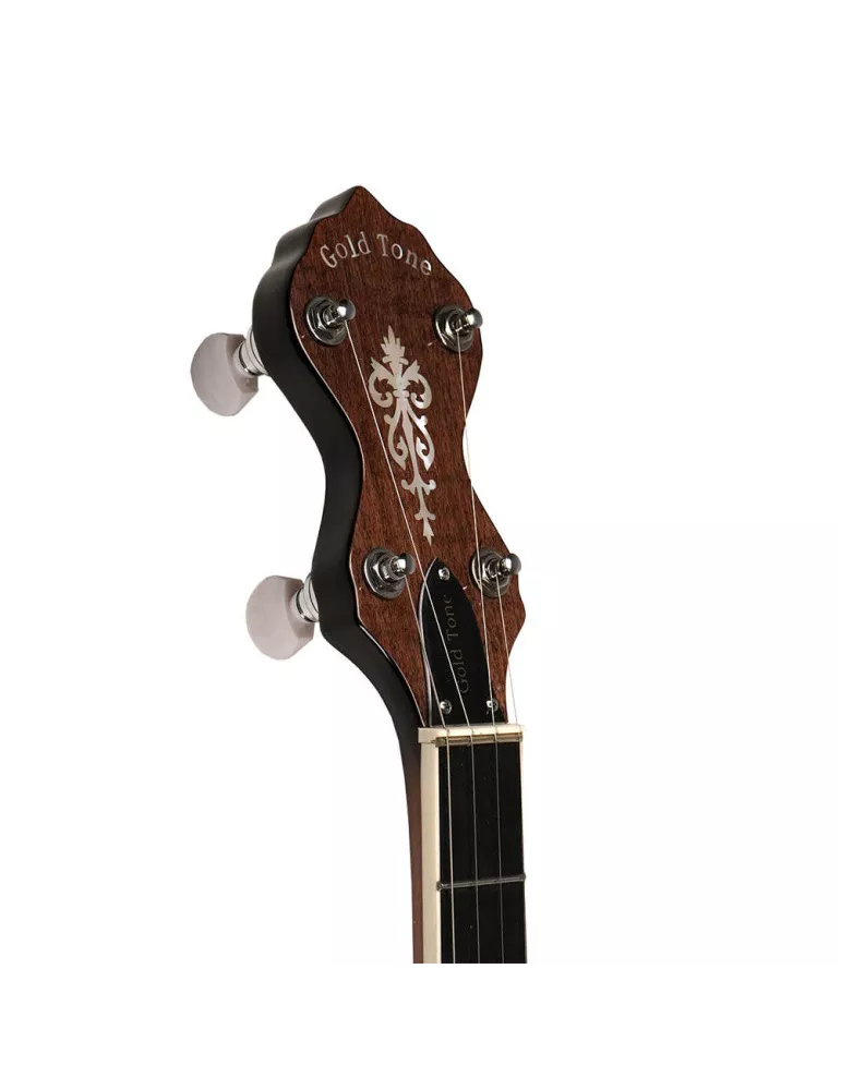 GOLD TONE WL-250 | MusicGoodDeal
