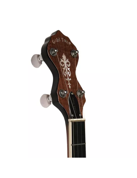 GOLD TONE WL-250 | MusicGoodDeal