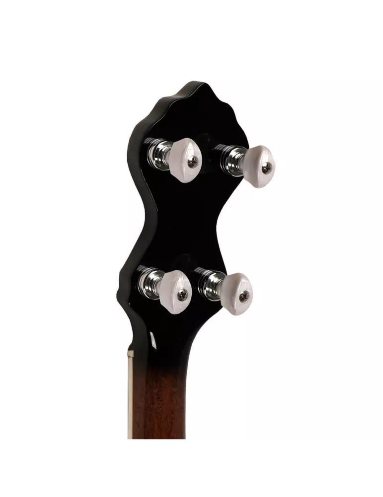 GOLD TONE WL-250 | MusicGoodDeal
