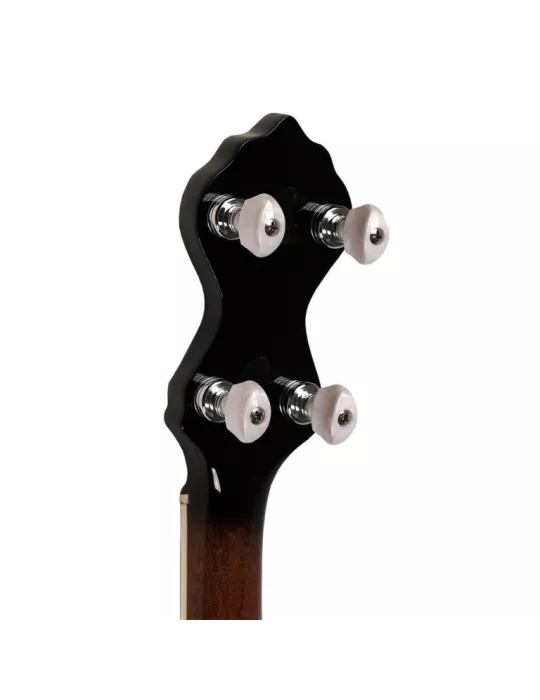 GOLD TONE WL-250 | MusicGoodDeal
