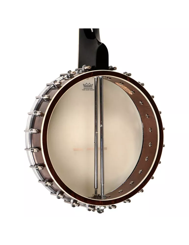 GOLD TONE WL-250 | MusicGoodDeal