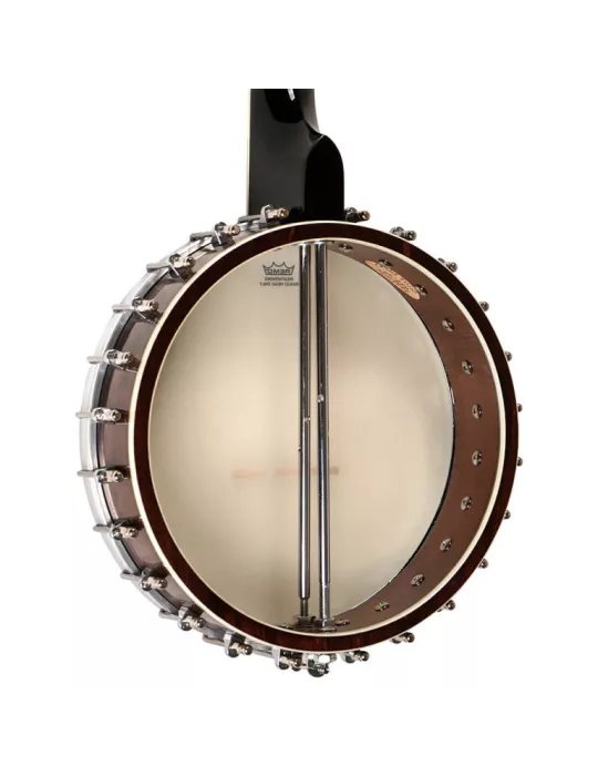 GOLD TONE WL-250 | MusicGoodDeal