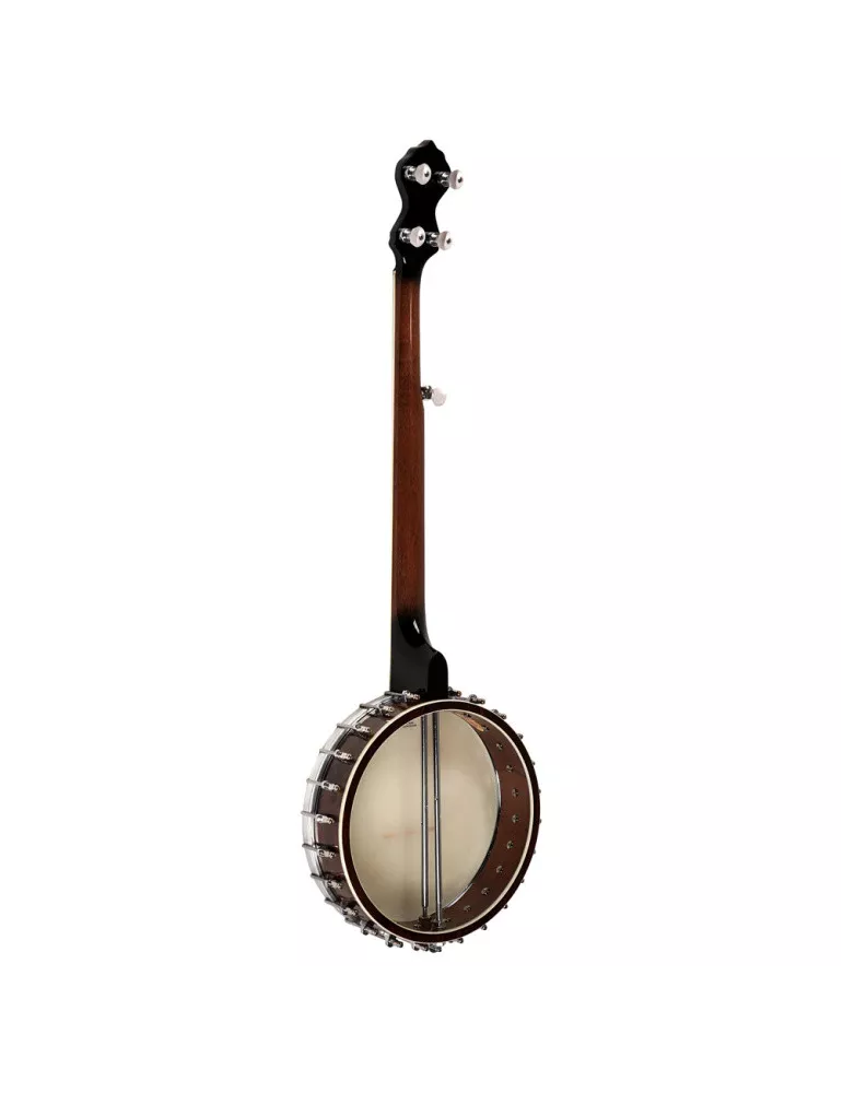 GOLD TONE WL-250 | MusicGoodDeal