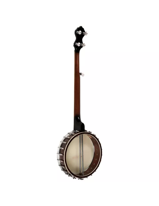 GOLD TONE WL-250 | MusicGoodDeal