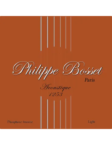  PHILIPPE BOSSET PBACP1253 ACOUSTIC GAME PH. BRONZE 12-53|MusicGoodDeal 
