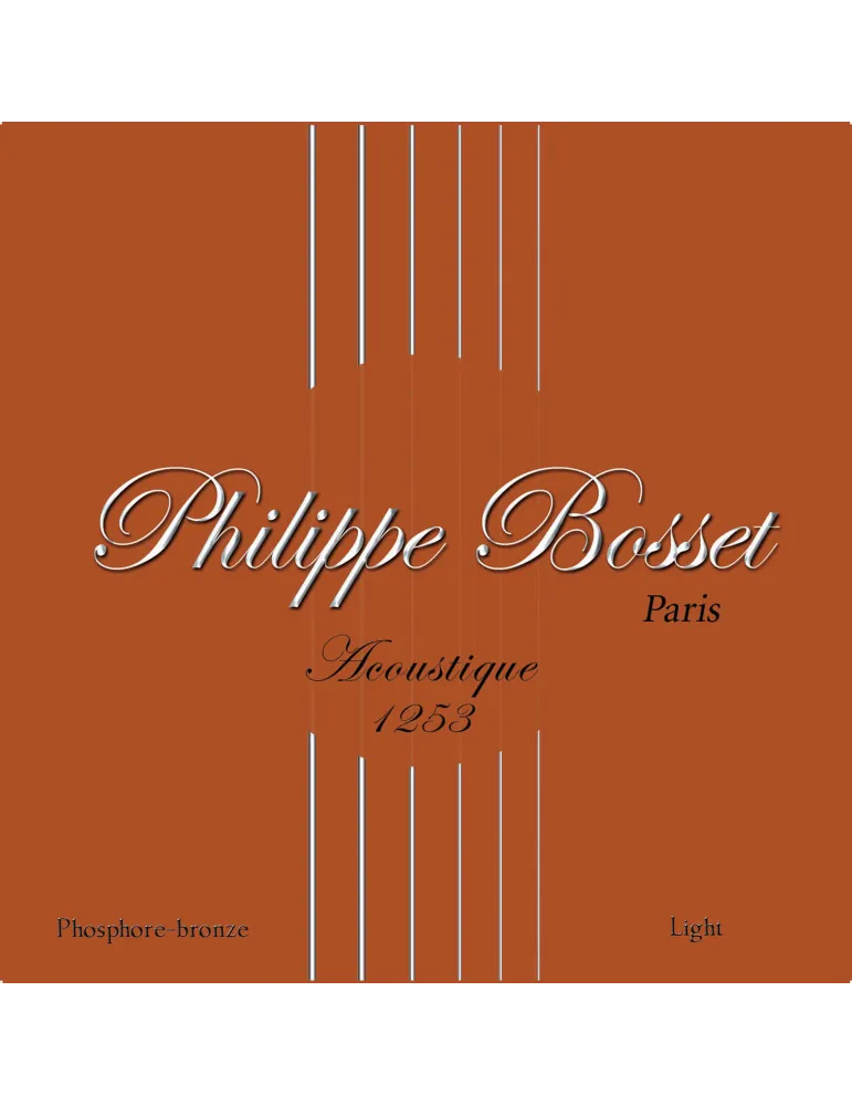  PHILIPPE BOSSET PBACP1253 ACOUSTIC GAME PH. BRONZE 12-53|MusicGoodDeal 