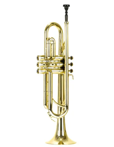  PLAY IT ! BB TRUMPET PLAY IT BTR-150G|MusicGoodDeal 