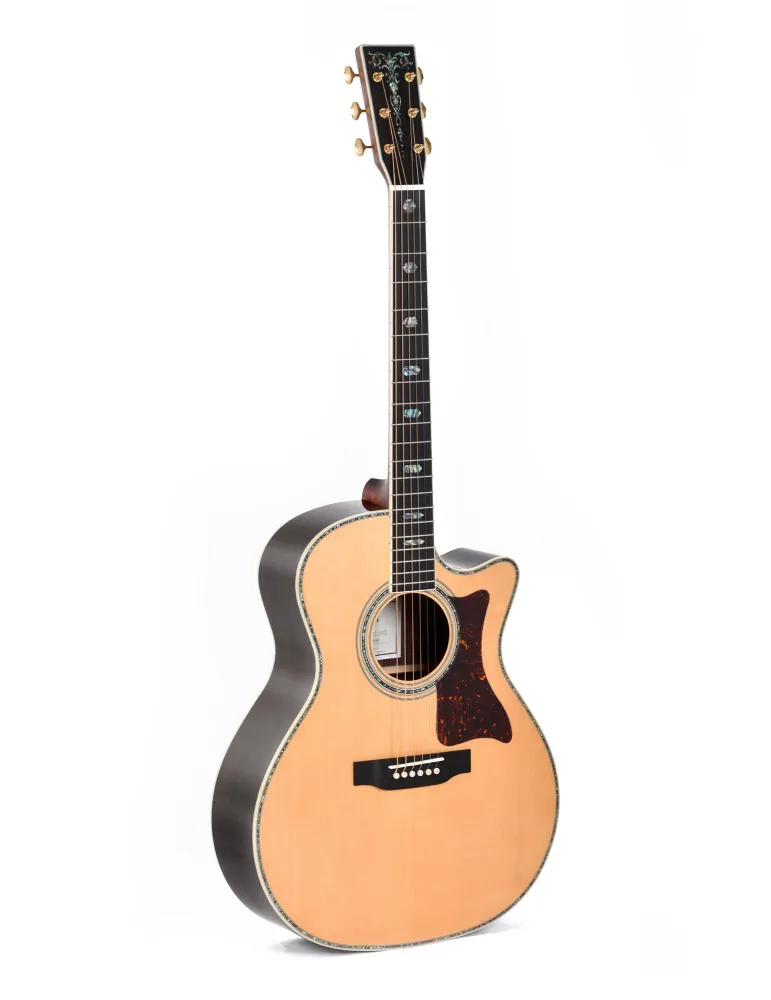 SIGMA SGRC-41E | MusicGoodDeal