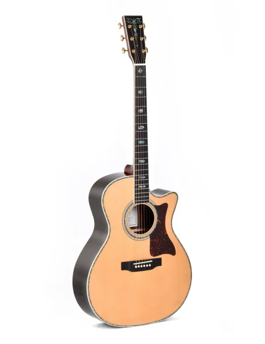 SIGMA SGRC-41E | MusicGoodDeal