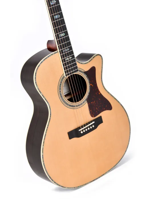 SIGMA SGRC-41E | MusicGoodDeal