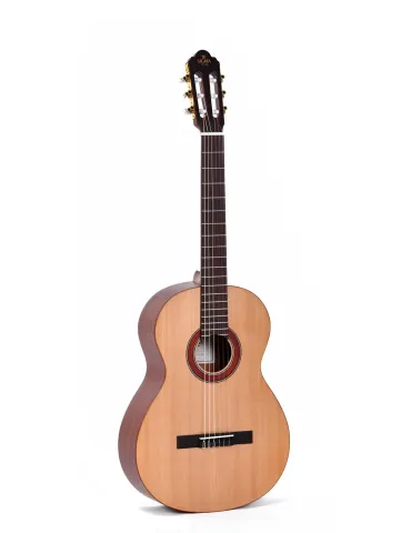 SIGMA CLASSIC SERIES CM-2|MusicGoodDeal 