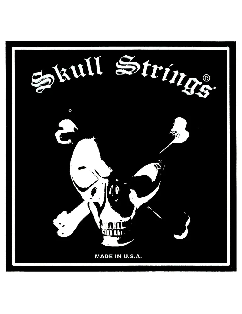  SKULL BASSE CORDE DETAIL 110B|MusicGoodDeal 