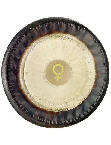  SONIC ENERGY PLANET GONG MEINL VENUS 24|MusicGoodDeal 