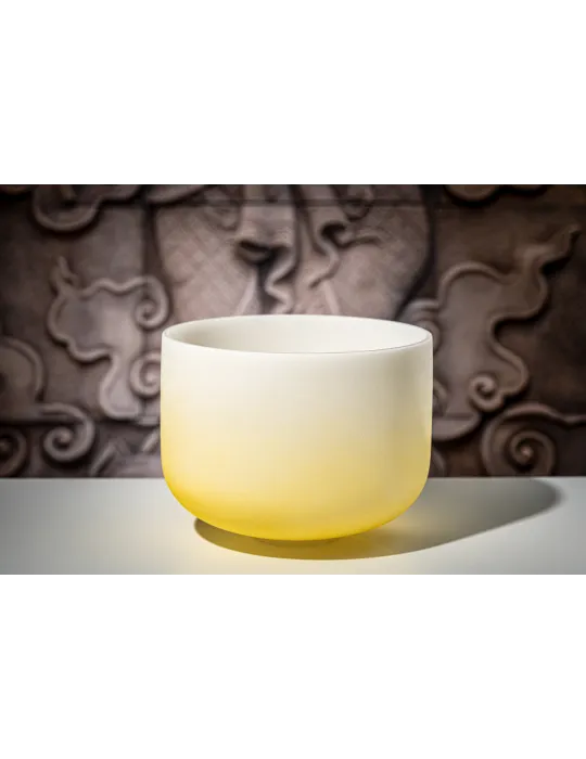  SONIC ENERGY SINGING BOWL CRYSTAL 12" (IN FRENCH)|MusicGoodDeal 