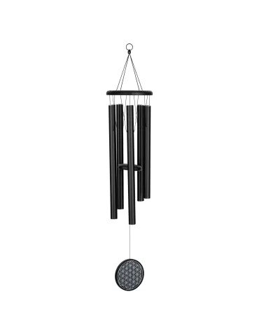 SONIC ENERGY FOLMC36BK | MusicGoodDeal