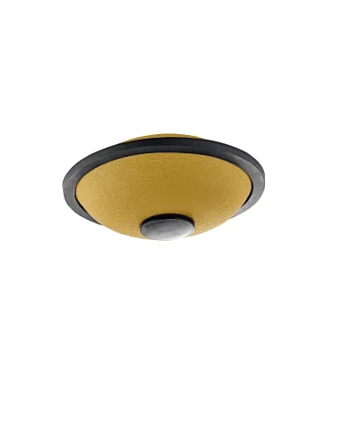  SONIC ENERGY MINI TONGUE B MAJOR GOLD|MusicGoodDeal  2