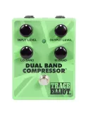 TRACE ELLIOT TEP-DBCOMP | MusicGoodDeal