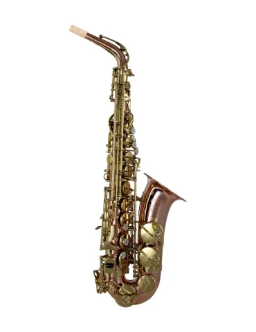  TREVOR JAMES ALTO SAXOPHONE SC A269B|MusicGoodDeal 