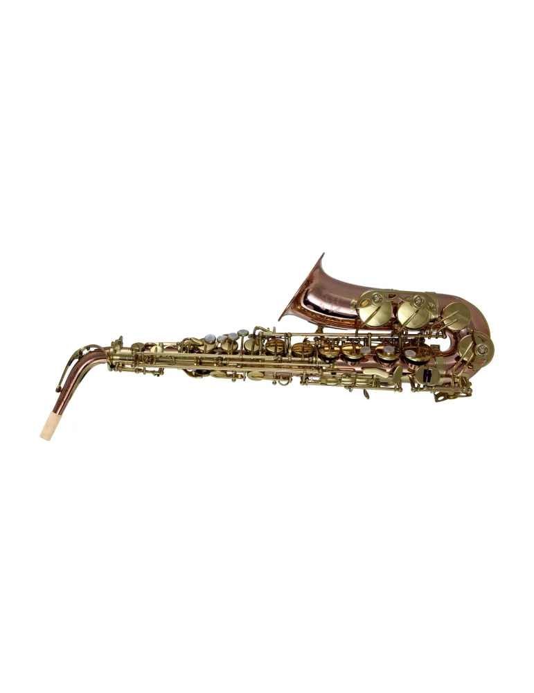6b66900b24428d3406f6b25ede633f9e