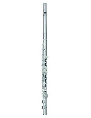  TREVOR JAMES ALTO FLUTE 33225|MusicGoodDeal 