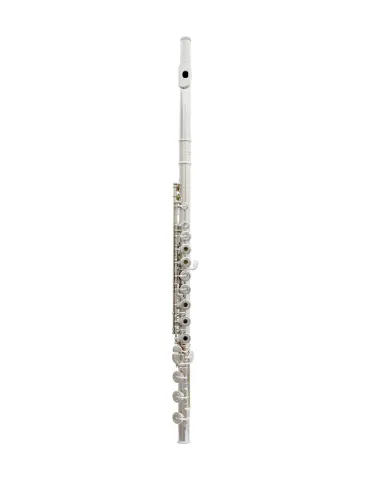  TREVOR JAMES FLUTE VIRTUOSO 31VV-HRX|MusicGoodDeal 