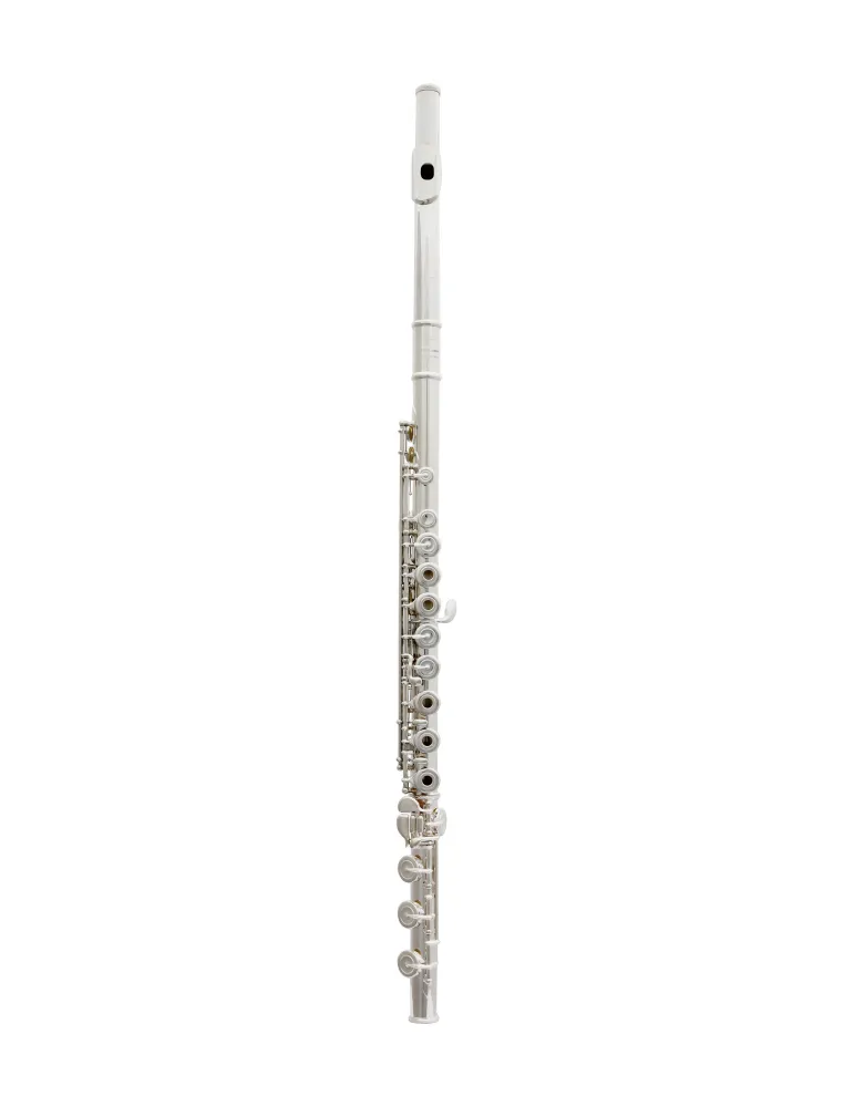  TREVOR JAMES FLUTE VIRTUOSO 31VV-HRX|MusicGoodDeal 