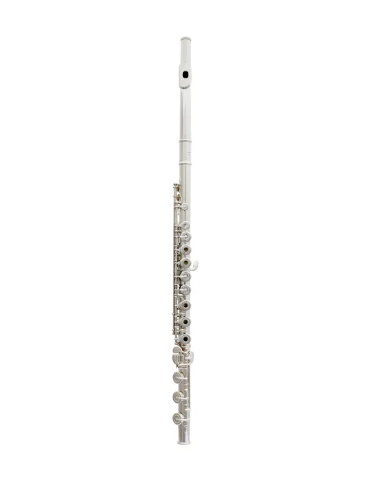  TREVOR JAMES FLUTE VIRTUOSO 31VV-HRX|MusicGoodDeal 